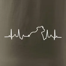 Stafordšírsky bulteriér EKG