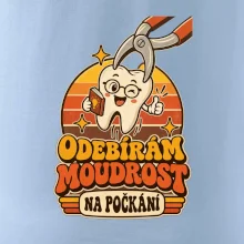 Odebírám moudrost na počkání