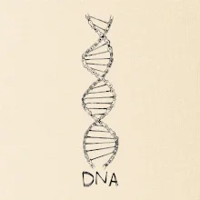 Cyklistovo DNA