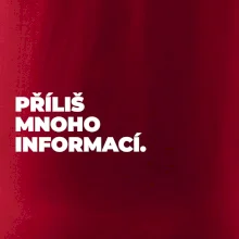 PŘÍLIŠ MNOHO INFORMACÍ.