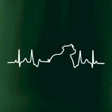 Stafordšírsky bulteriér EKG