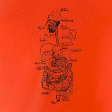 Skica lidských orgánů