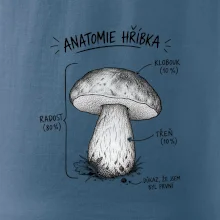 Anatomie hříbka