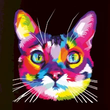 Kočka duhová hlava