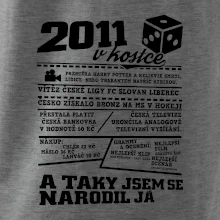 2011 v kostce