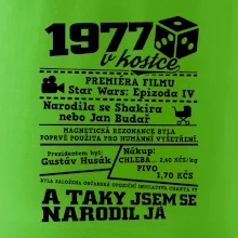 1977 v kostce