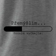 Přemýšlím