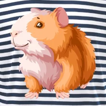 Morče - kreslené, bílo oranžové