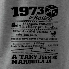 1973 v kostce