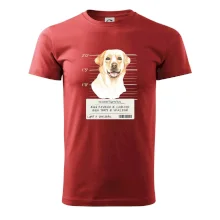 Lump a darebák labrador