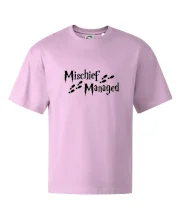 Harry - Mischief Managed