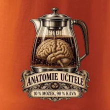 Anatomie učitele deset procent mozek devadesát káva