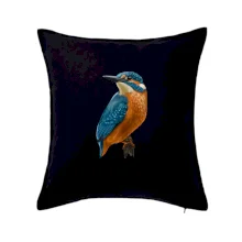 Lednáček kreslený