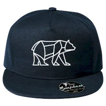 Geometrie lední medvěd chodící