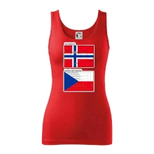 Norská a česká vlajka