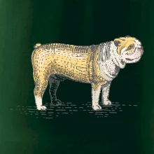 Vintage bulldog