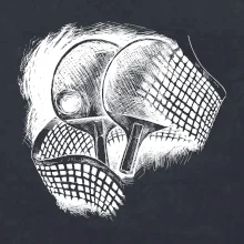 Ping pong pálky a síť