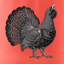 Zvířata Šumavy – Tetřev hlušec