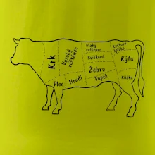 Kráva nákres s názvy