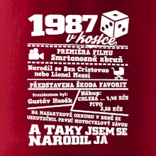1987 v kostce