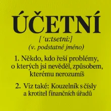 Účetní definice s humorem