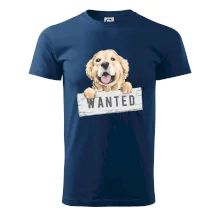 Zlatý retriever - štěně wanted