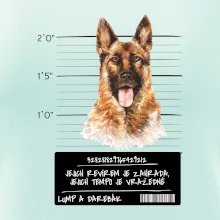 Lump a darebák - Německý ovčák