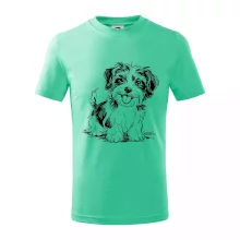 Havanský psík skica