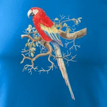 Papoušek na listnatém stromě