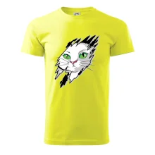 Kočka v roztrženém triku