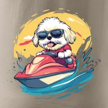 Lhasa Apso na vodním skútru