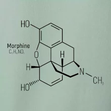 Molekulární struktura Morfin