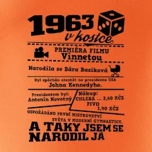 1963 v kostce
