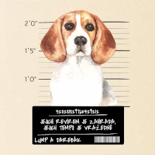 Lump a darebák bígl