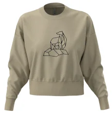 Geometrie lední medvěd na ledu