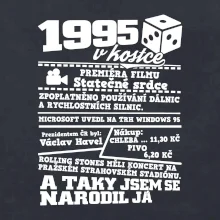 1995 v kostce