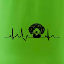 Lagotto romagnolo hlava EKG