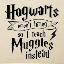 Harry - Hogwarts wasn’t hiring, so I teach Muggles instead