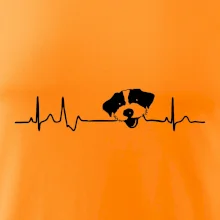 Jack Russell Terriér hrubosrstý Ekg