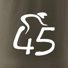 Cyklista slaví pětačtyřicítku (45)