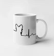 Jorkšírský teriér EKG