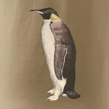 Tučňák kreslený vodovými barvami