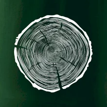 Letokruhy 95 bez věku