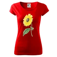 Slunečnice otočená