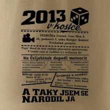 2013 v kostce