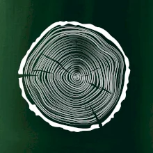 Letokruhy 45 bez věku