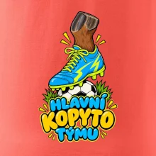 Hlavní kopyto týmu