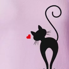 Zamilovaná kočka zezadu