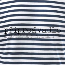 Čeština 2.0 - připrcávadlo