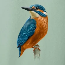 Lednáček kreslený